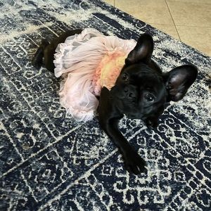 Meet your Posher, Ruth